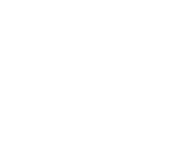 The Buzz
